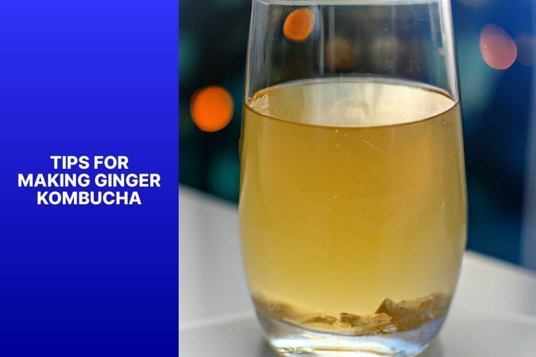 Tips for Making Ginger Kombucha - how to make ginger kombucha 