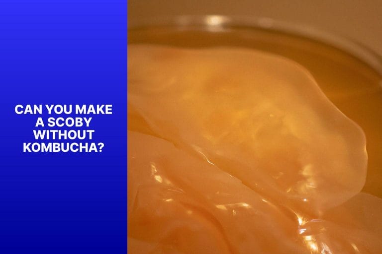 Can You Make a SCOBY Without Kombucha? - how to make scoby without kombucha 