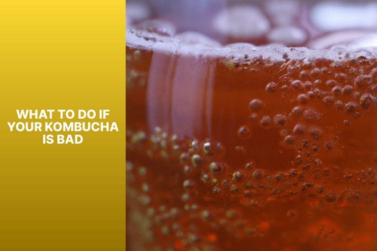 What to Do If Your Kombucha Is Bad - how to tell if kombucha is bad 