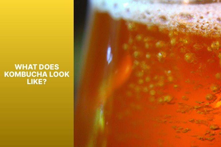 What Does Kombucha Look Like? - what does kombucha look like 