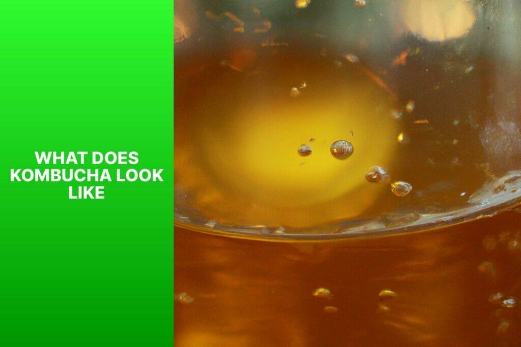 What does Kombucha look like?