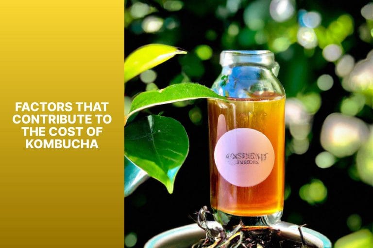 Factors that Contribute to the Cost of Kombucha - why is kombucha so expensive 